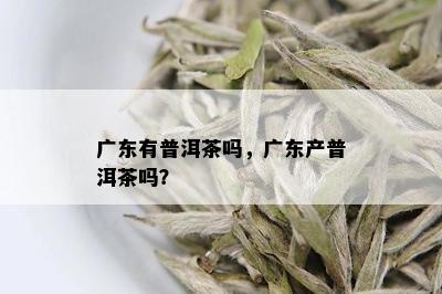 广东有普洱茶吗，广东产普洱茶吗？