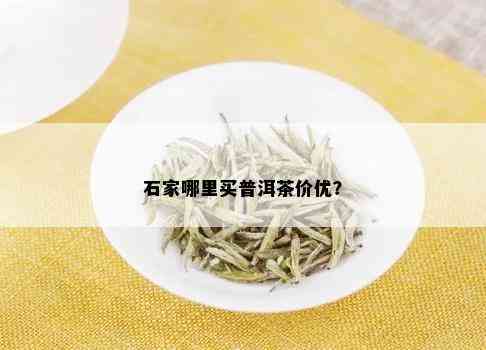 石家哪里买普洱茶价优？