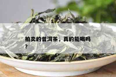 拍卖的普洱茶，真的能喝吗？