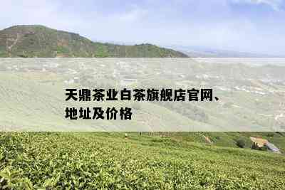 天鼎茶业白茶旗舰店官网、地址及价格