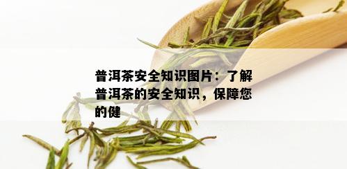 普洱茶安全知识图片：了解普洱茶的安全知识，保障您的健