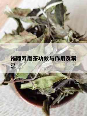 福鼎寿眉茶功效与作用及禁忌