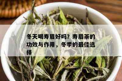 冬天喝寿眉好吗？寿眉茶的功效与作用，冬季的更佳选择