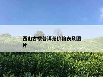 西山古楼普洱茶价格表及图片