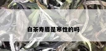 白茶寿眉是寒性的吗