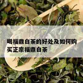 喝福鼎白茶的好处及如何购买正宗福鼎白茶