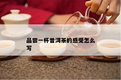 品尝一杯普洱茶的感受怎么写