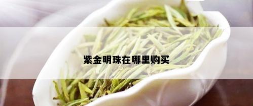 紫金明珠在哪里购买