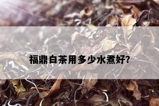 福鼎白茶用多少水煮好？