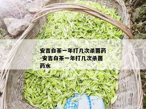 安吉白茶一年打几次杀菌药-安吉白茶一年打几次杀菌药水