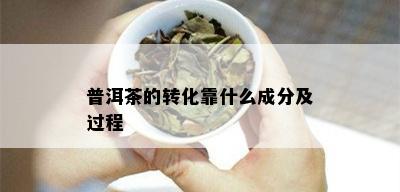 普洱茶的转化靠什么成分及过程