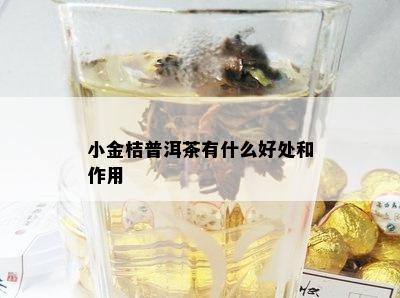 小金桔普洱茶有什么好处和作用