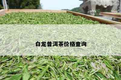 白龙普洱茶价格查询