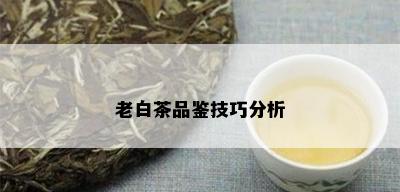 老白茶品鉴技巧分析