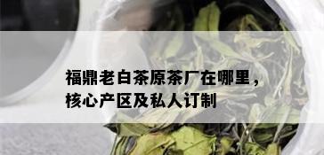 福鼎老白茶原茶厂在哪里，核心产区及私人订制