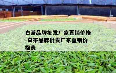 白茶品牌批发厂家直销价格-白茶品牌批发厂家直销价格表