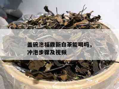 盖碗泡福鼎新白茶能喝吗，冲泡步骤及视频