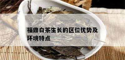 福鼎白茶生长的区位优势及环境特点