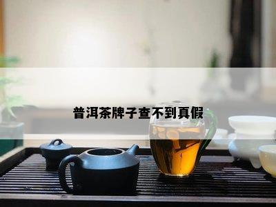 普洱茶牌子查不到真假