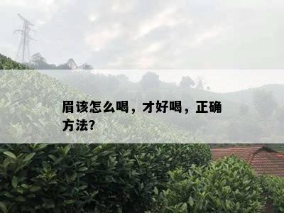 眉该怎么喝，才好喝，正确方法？