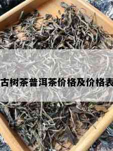 古树茶普洱茶价格及价格表