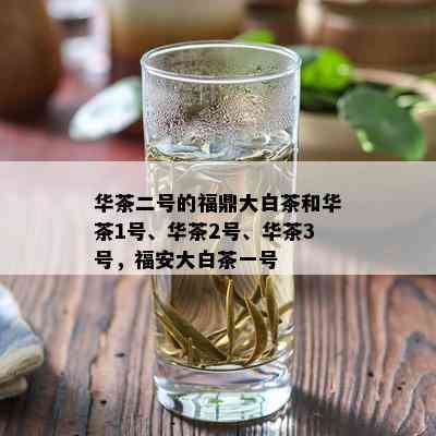 华茶二号的福鼎大白茶和华茶1号、华茶2号、华茶3号，福安大白茶一号