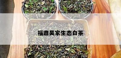 福鼎吴家生态白茶