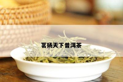 茗扬天下普洱茶