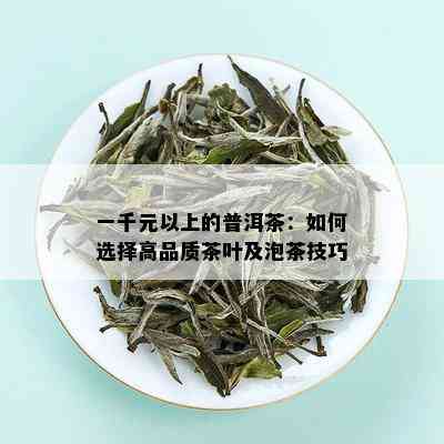 一千元以上的普洱茶：如何选择高品质茶叶及泡茶技巧