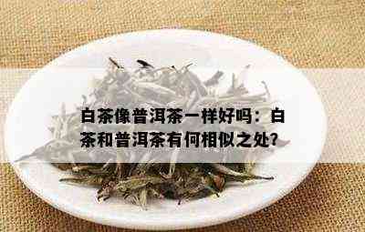 白茶像普洱茶一样好吗：白茶和普洱茶有何相似之处？