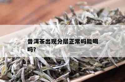 普洱茶出现分层正常吗能喝吗？