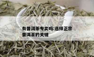 有普洱茶专卖吗:选择正宗普洱茶的关键