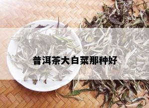 普洱茶大白菜那种好