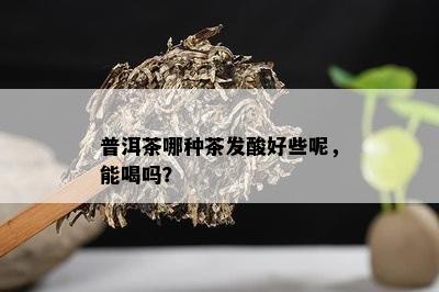 普洱茶哪种茶发酸好些呢，能喝吗？