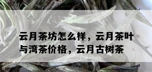 云月茶坊怎么样，云月茶叶与湾茶价格，云月古树茶