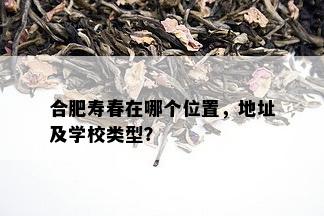 合肥寿春在哪个位置，地址及学校类型？