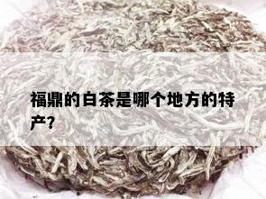 福鼎的白茶是哪个地方的特产？