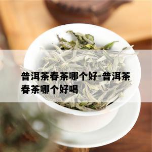 普洱茶春茶哪个好-普洱茶春茶哪个好喝