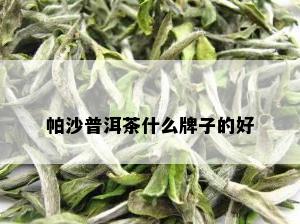 帕沙普洱茶什么牌子的好