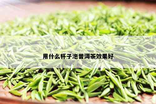 用什么杯子泡普洱茶效果好