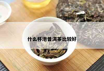 什么杯泡普洱茶比较好