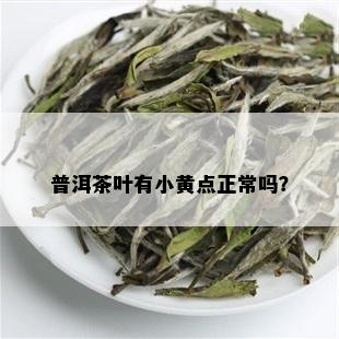 普洱茶叶有小黄点正常吗？