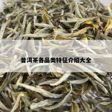 普洱茶各品类特征介绍大全