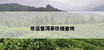 京迈普洱茶价格查询