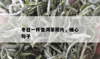 冬日一杯普洱茶照片，暖心句子