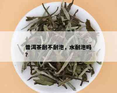 普洱茶耐不耐泡，水耐泡吗？