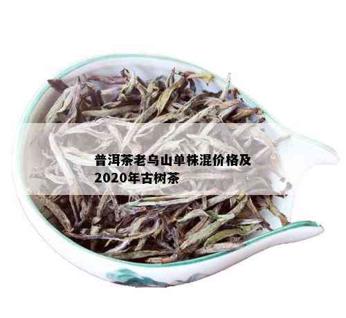 普洱茶老乌山单株混价格及2020年古树茶