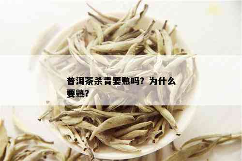 普洱茶杀青要熟吗？为什么要熟？