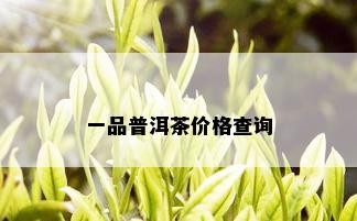 一品普洱茶价格查询