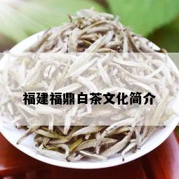 福建福鼎白茶文化简介